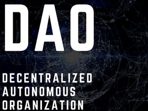 The DAO Organization
