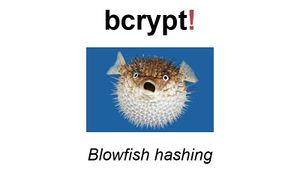 Datei:Legacy/a0c466864a4ed084-300px-Bcrypt.jpg