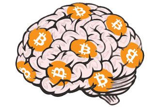 Datei:Legacy/720e3ced0f718f9c-330px-Brain Wallet.jpg