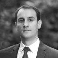 Adrian Netea photo
