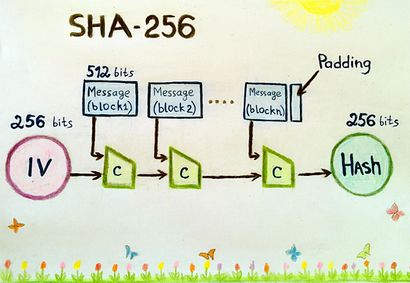 SHA-256 algorithm illustration