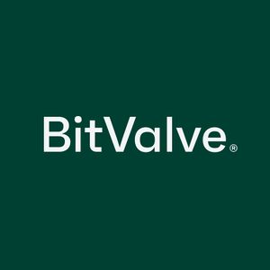 BitValve logo