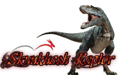 SkunkHash Raptor – алшгоритм майнинга